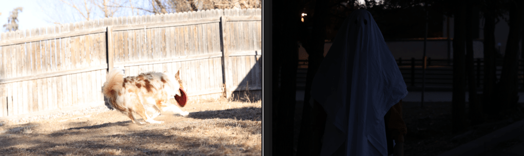 What is Exposure in Photography? (Simple Guide for&nbsp;Beginners)