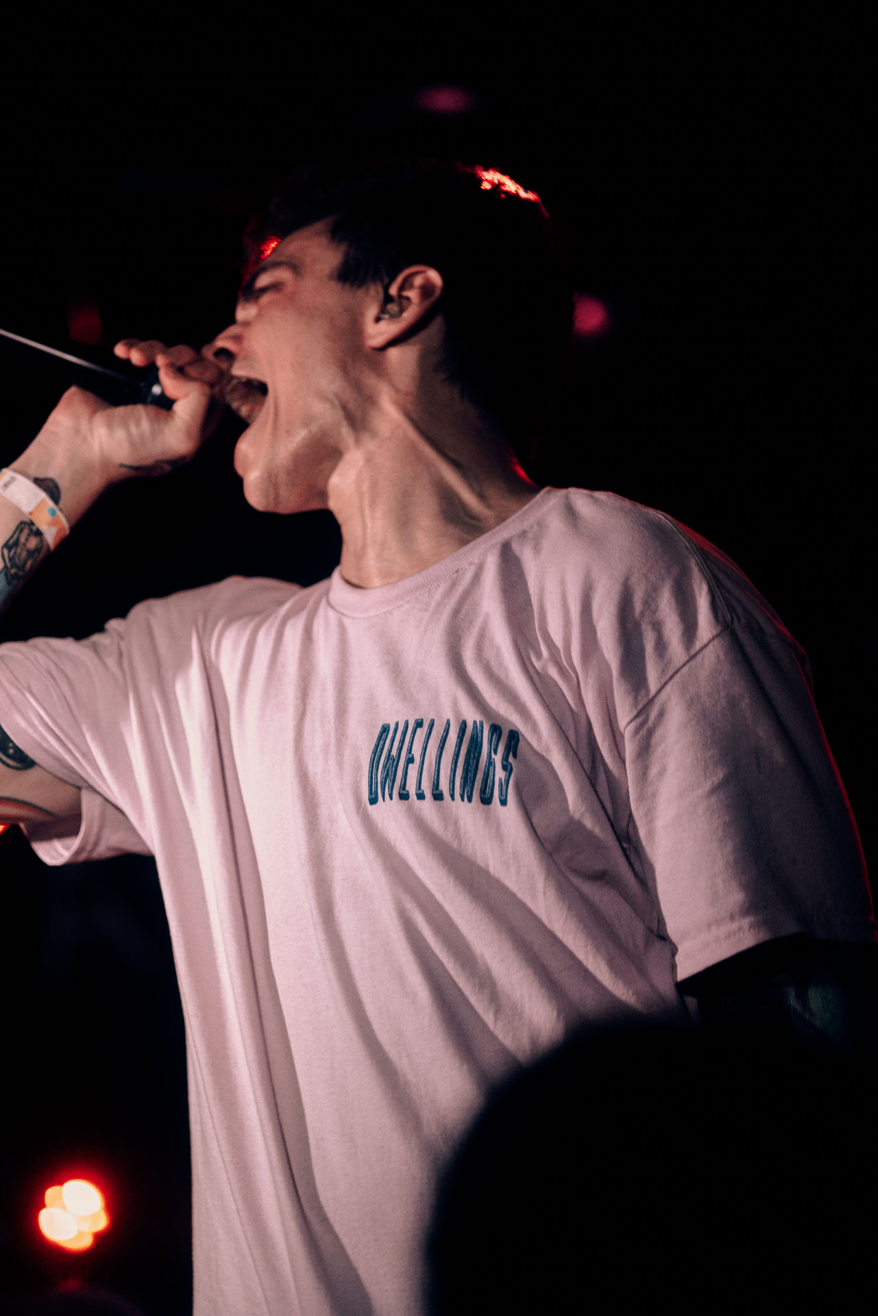 Andy Cizek screaming on stage during A Lot Like Birds concert